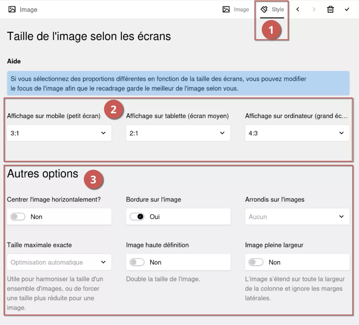 Édition du style d'une image dans l'espace d'administration, annoté