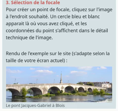 Exemple de rendu d'une image sur le site au format téléphone