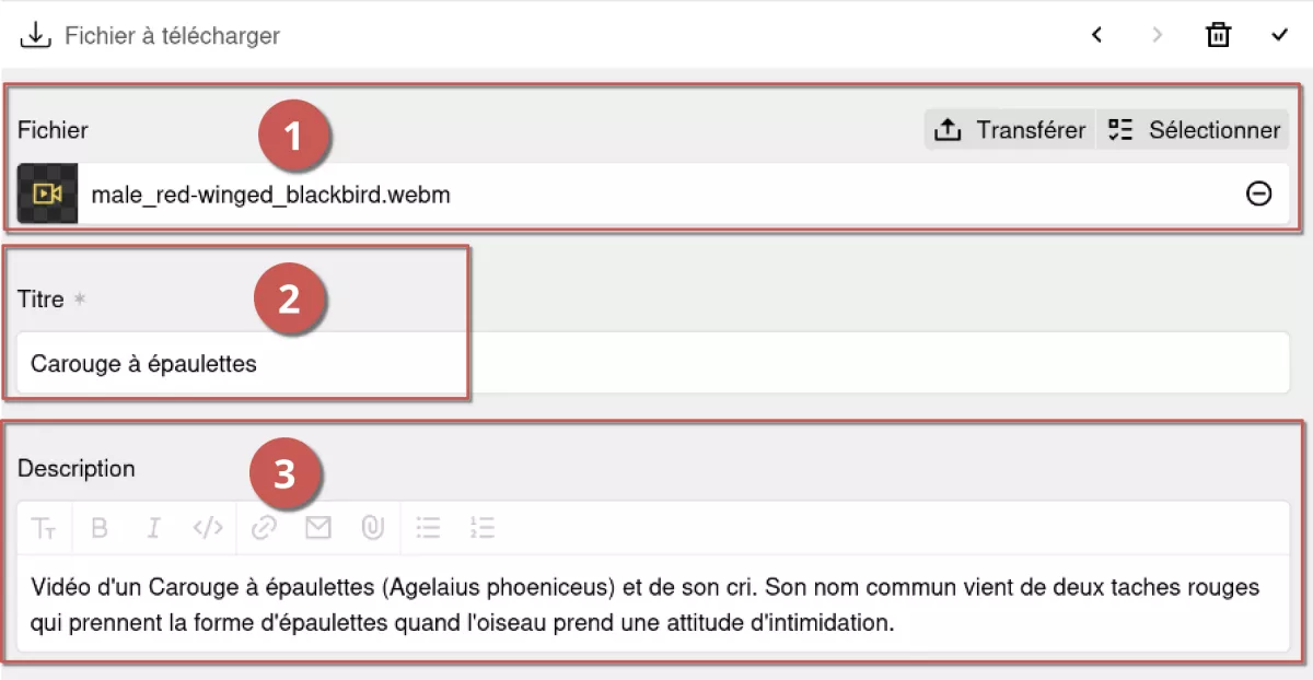Ajout d'un fichier à télécharger dans l'espace d'administration, annoté